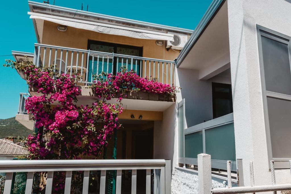 Ankica & Anamarija Apartments Neum Dış mekan fotoğraf